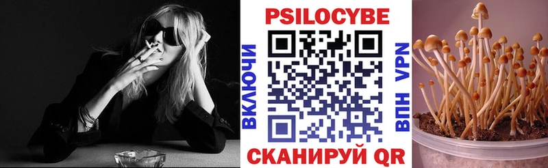 где найти   Одинцово  Галлюциногенные грибы Psilocybine cubensis 